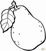 Pear Coloring Color Pages sketch template
