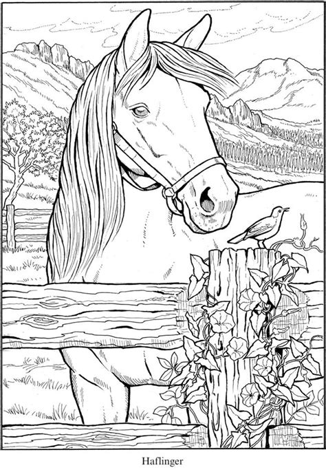 dover publications horse coloring pages horse coloring