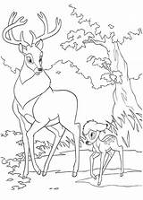 Coloring Pages Kubo Getcolorings Bambi sketch template