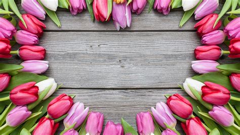 tulips wildflower heart wallpaper wallpaperscom