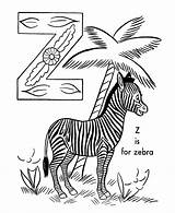 Coloring Alphabet Zebra Pages Letter Animals Abc Activity Color Creative Animal Sheets Sheet Abeceda Printable Popular Omalovanky Objects Cz Library sketch template