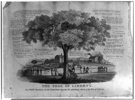 finding shade under the tree of liberty a pedagogical exploration of