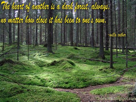 forest quotes wallpaper  noexitucom