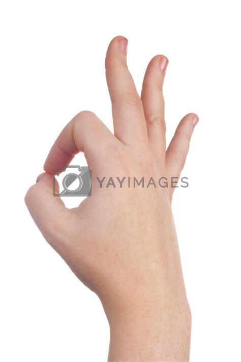 hand sign symbol  trebuchet vectors illustrations