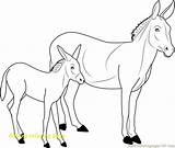 Donkey Coloring Getdrawings sketch template