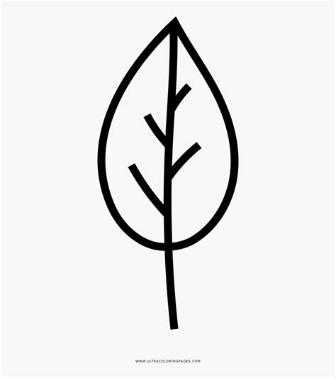tree leaf coloring page drawing hd png  kindpng