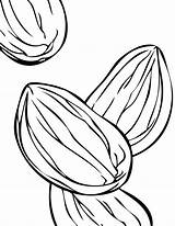 Almond Coloring Clipart Drawing Diamond Almonds Ring Pages Hadil Clipartmag 600px 49kb sketch template
