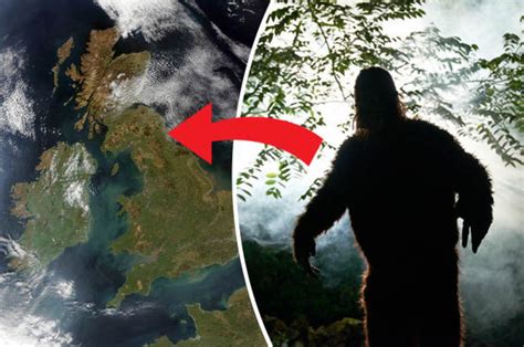 bigfoot sighting monster hunter reveals terrifying british ‘sasquatch monster encounter