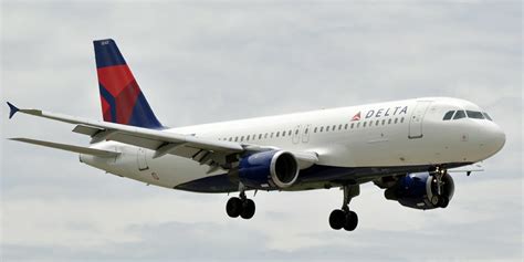 delta air lines passengers handed citations for plane sex