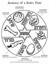 Seder Passover sketch template