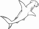 Shark Hammerhead Cut Pattern Cliparts Clipart Computer Designs Use sketch template