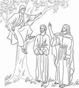 Coloring Jesus Zacchaeus Meets Pages Tree Printable Fig Bible Zaccheus Kids Supercoloring Para Color Colorear Sheets Door Knocking Period Mission sketch template