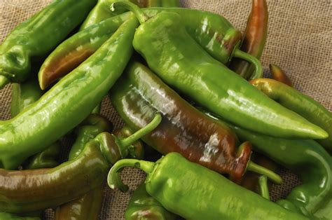 All The Types Of Hot Peppers You’ll Ever Want To Try