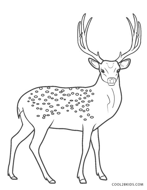 printable deer coloring pages  kids coolbkids