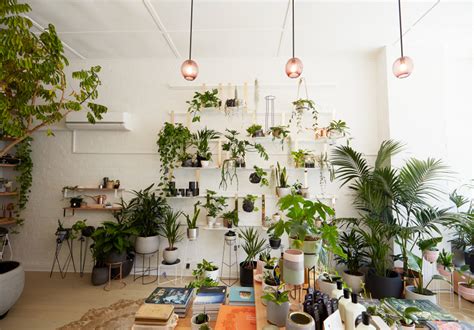 homewares shops  melbourne broadsheet