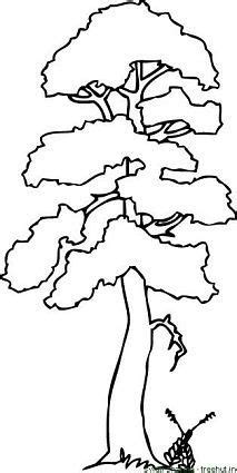trees coloring pages set    tree coloring page coloring pages