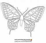 Mariposa Mariposas Colorear Papillon Butterfly Decouvertes Calcar Hellokids Desenho Monarca Colouring Manualidades sketch template