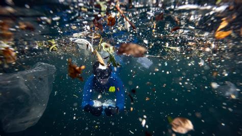 solving ocean plastic pollution wont  easy     choice  pew charitable trusts