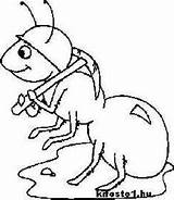 Grasshopper Baba Tigger Snoopy sketch template