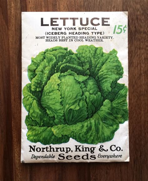 vintage  lettuce seed  fed homestead