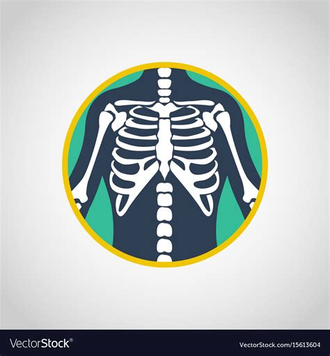 chest  ray logo icon design royalty  vector image
