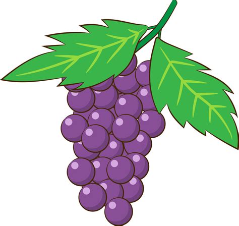 grape png graphic clipart design  png