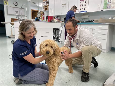 veterinarian job benefits veterinary practice acquisitions