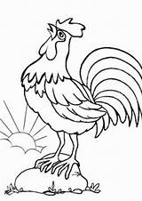 Coloring Pages Chicken Easy Tulamama Print 0f Animal sketch template