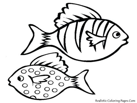 tropical fish coloring pages    tropical fish