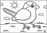 Coloring Birds Kids Pages Sparrow Navigation Post sketch template