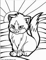 Coloring Pages Cat Kitty Printable Print Choose Board Sheets Kittens sketch template