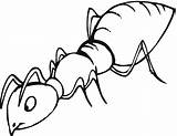 Ant Coloring Pages Printable Kids sketch template