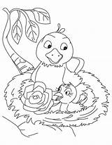 Nest Bird Coloring Rose Pages Drawing Kids Cartoon Getdrawings Template sketch template