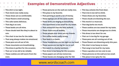examples  demonstrative adjectives word coach
