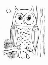 Owl Coloring Pages Owls Baby Simple Cute Adult Drawing Kids Printable Flying Cool Colouring Color Sheet Print Big Realistic Getcolorings sketch template