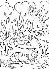 Tiger Coloring Pages Jungle Print Tulamama sketch template
