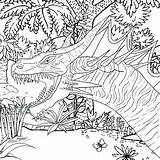 Coloring Detailed Pages Older Kids Printable Very Adults Sheets Print Really Getcolorings Getdrawings Color Colorings Dragon sketch template