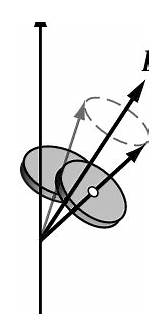 Torque Nutation Precession Gyroscope sketch template