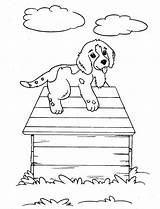 Coloring Puppies Pages Kids Printable sketch template