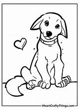 Pup sketch template