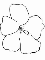 Coloring Pages Tropical Flower Flowers Printable sketch template