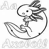 Axolotl Coloring Pages Gerbil Drawing Getdrawings Getcolorings Color Printable sketch template