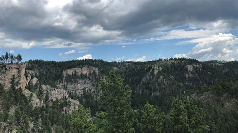 origin story history  controversy  black hills national forest