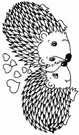 Hedgehogs sketch template