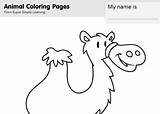 Camel Alice Coloring Songs Simple Super sketch template
