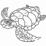 Turtle Sea Coloring Pages Leatherback Color Flatback Printable Cute Getcolorings Kemp sketch template