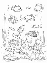 Coloring Pages Sea Coral Printable Getcolorings Print sketch template