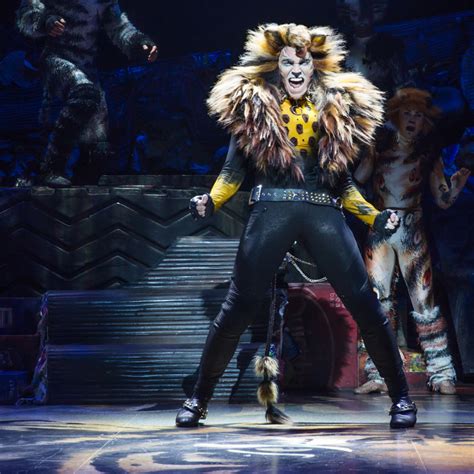 cats broadway cast 2016 we love cats we hate cats the new york times