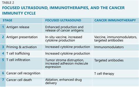 Immunotherapy Research Overview Focused Ultrasound Foundation