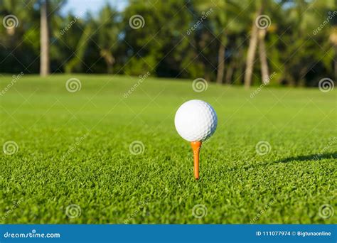 golfbal op  stuk op golfcursus  een vaag groen gebied stock foto image  vaarweg